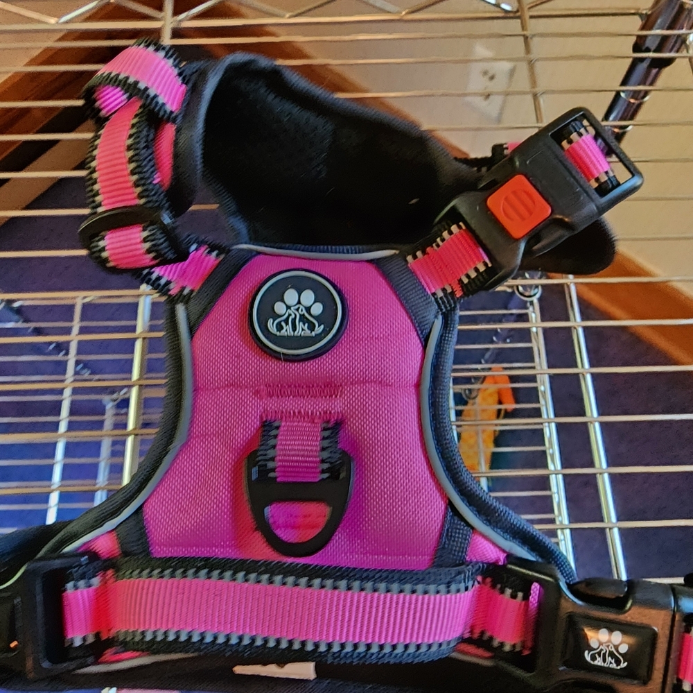 EUC Bright Pink Dog Harness